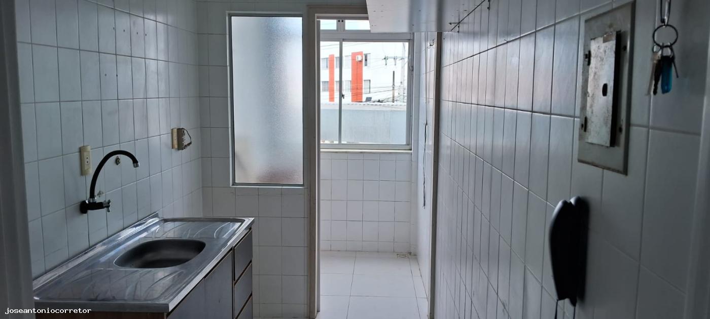 Apartamento à venda com 3 quartos, 65m² - Foto 13