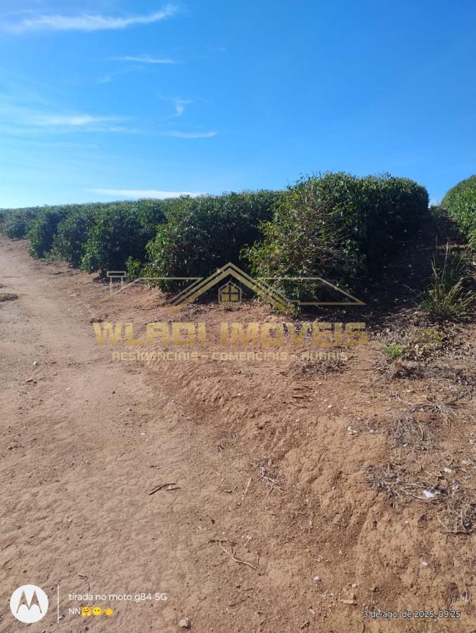 Fazenda-Sítio-Chácara, 69 m² - Foto 2