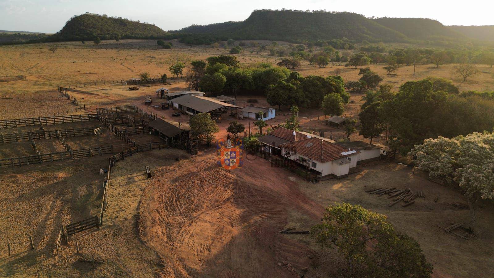 Fazenda, 3125 hectares - Foto 1