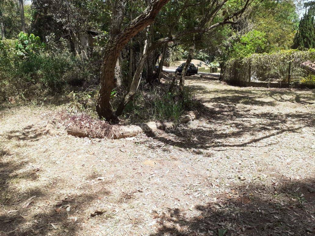 Loteamento e Condomínio à venda, 980M2 - Foto 5