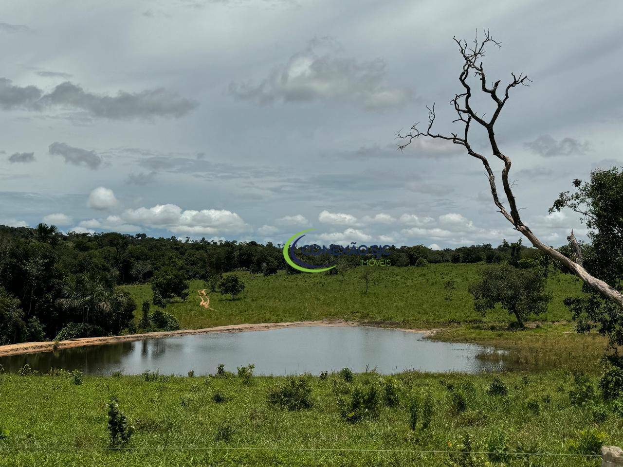 Fazenda à venda com 3 quartos, 19360000M2 - Foto 9
