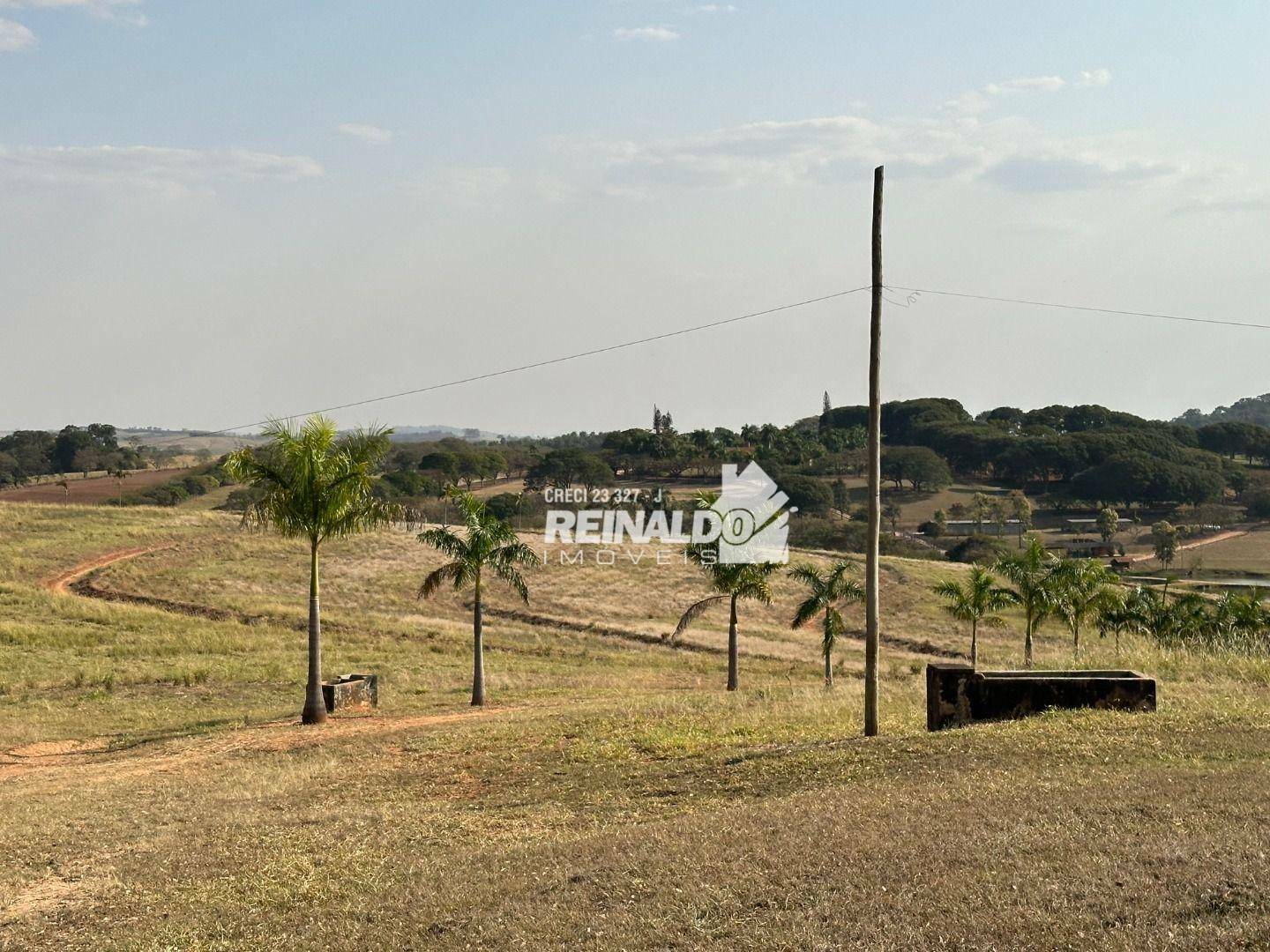 Haras e Área Rural Padrão à venda com 8 quartos, 5000m² - Foto 102