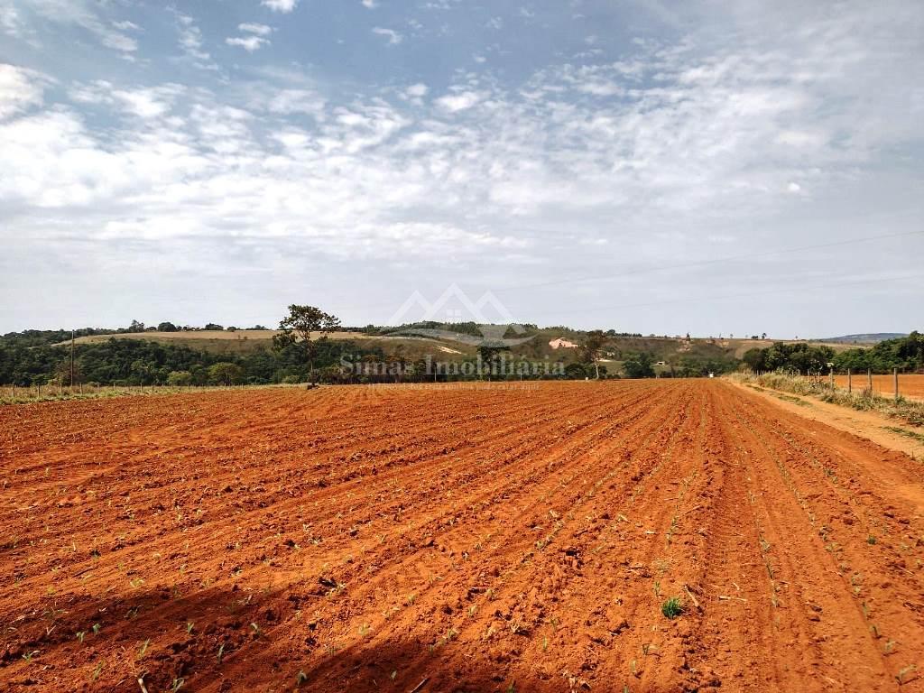 Fazenda à venda com 3 quartos, 14m² - Foto 6