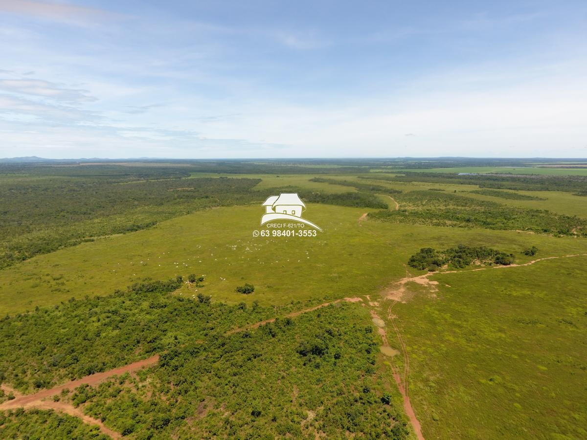 Fazenda à venda, 1m² - Foto 19