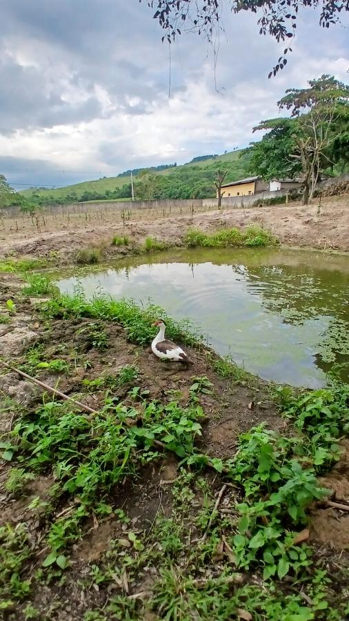 Fazenda à venda com 2 quartos, 31000m² - Foto 20