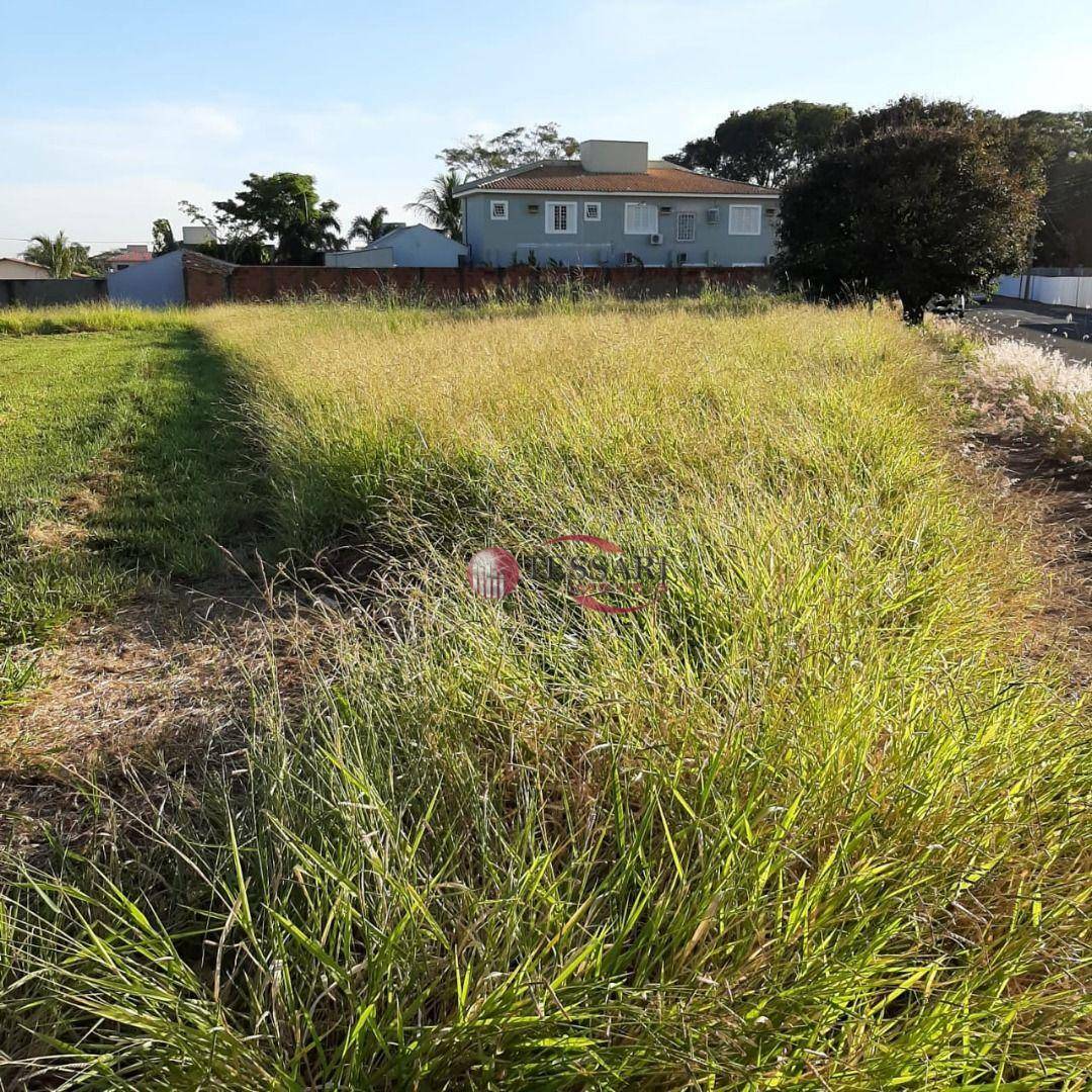 Terreno, 1188 m² - Foto 2