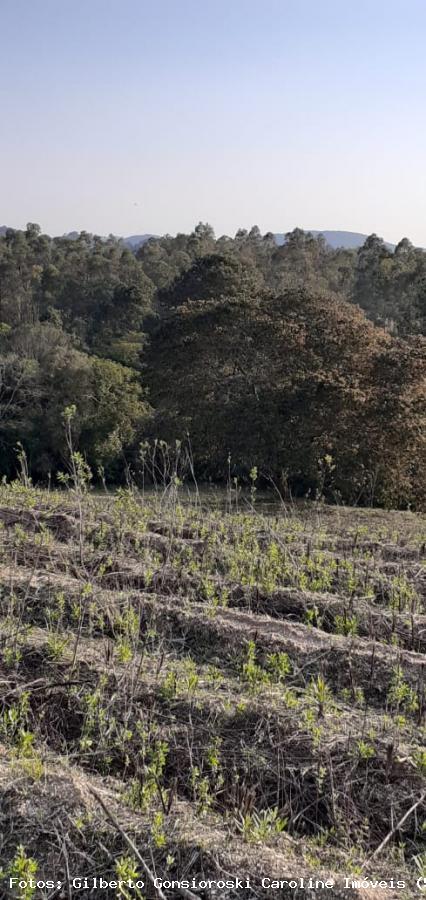 Loteamento e Condomínio à venda, 50000m² - Foto 9