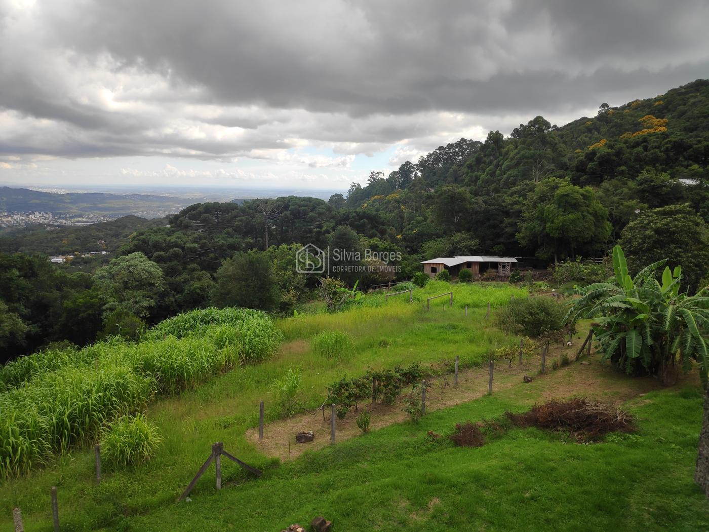 Fazenda à venda, 6900m² - Foto 48