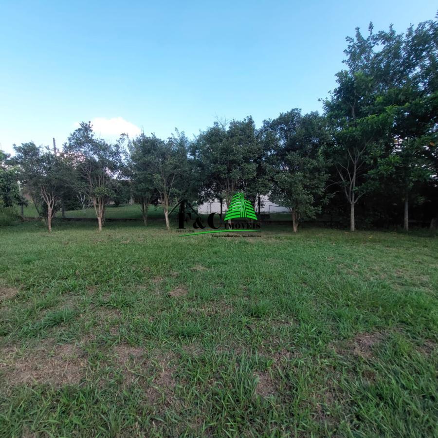 Fazenda à venda com 2 quartos, 20000m² - Foto 7