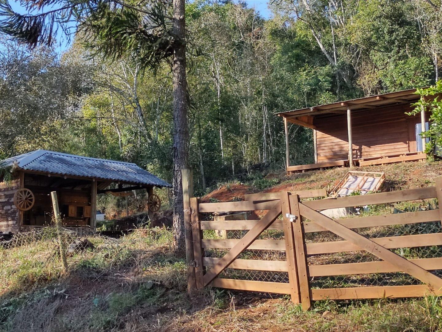 Fazenda à venda, 1260m² - Foto 1