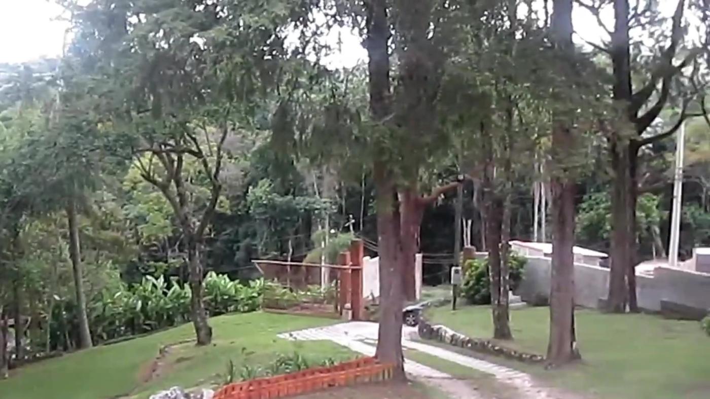 Chácara à venda com 4 quartos, 4000m² - Foto 4