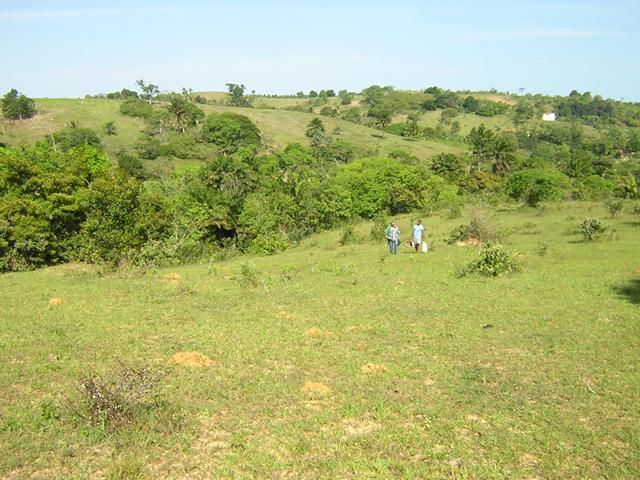 Terreno, 29 hectares - Foto 2