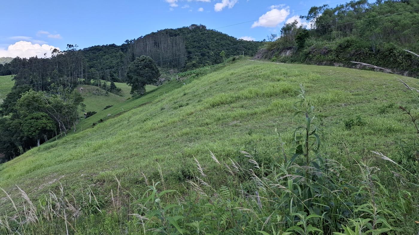 Fazenda à venda com 3 quartos, 20000m² - Foto 49