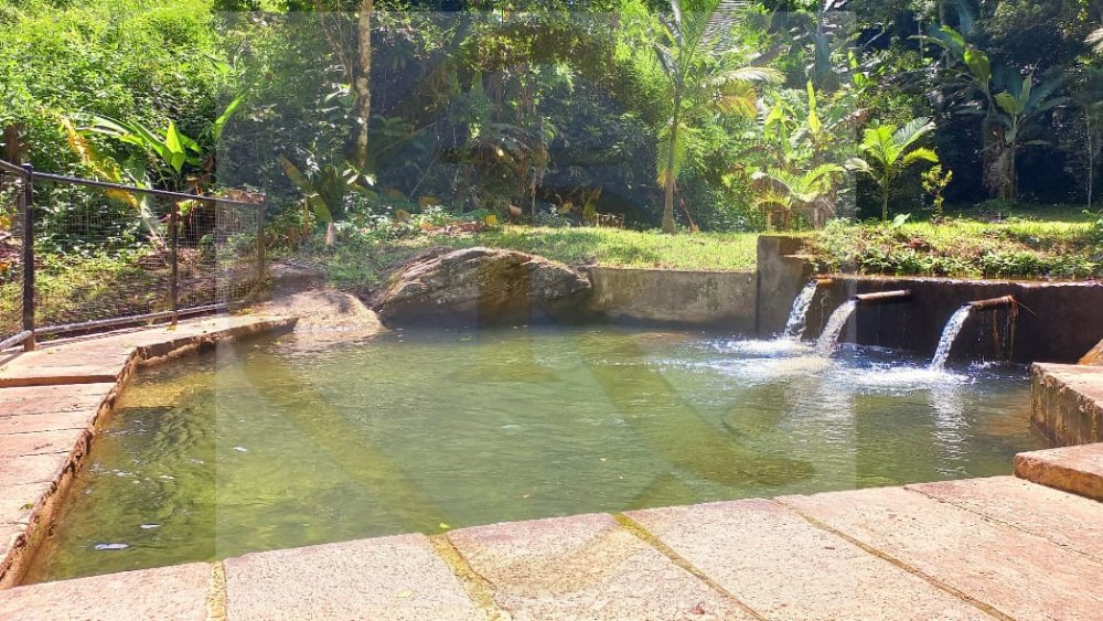 Chácara para alugar com 3 quartos, 5000m² - Foto 29