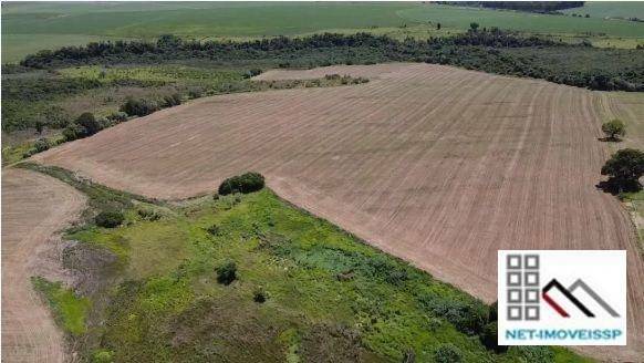 Fazenda-Sítio-Chácara, 284 hectares - Foto 2