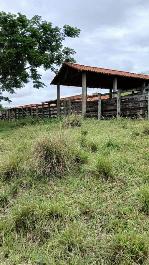 Fazenda à venda com 4 quartos, 19m² - Foto 31