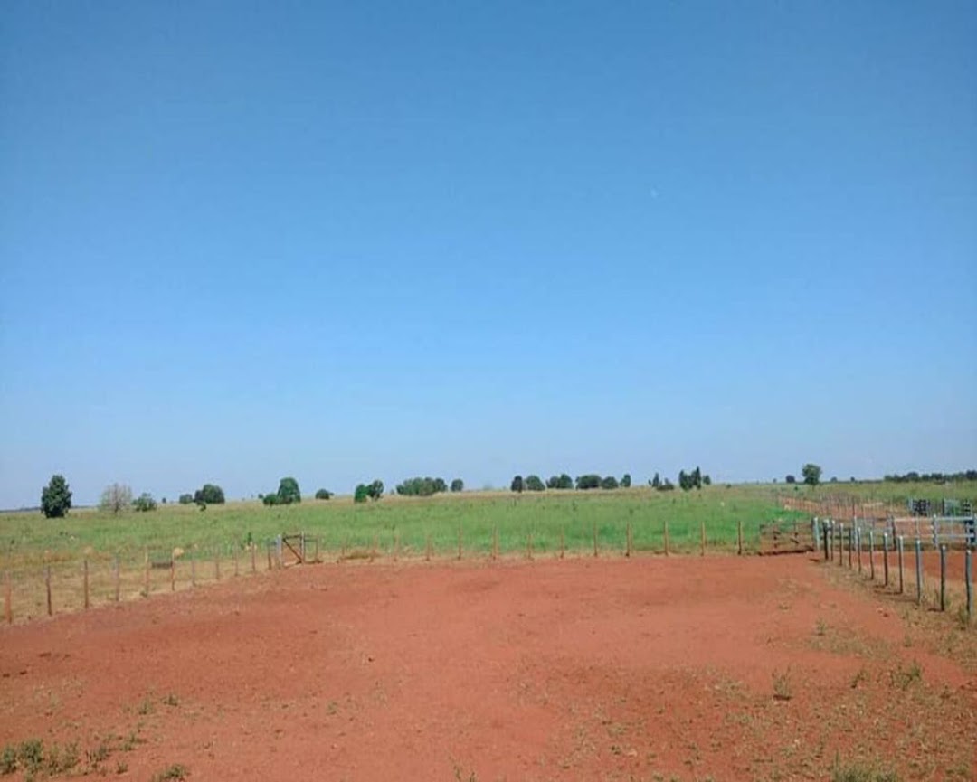 Fazenda-Sítio-Chácara - Foto 3