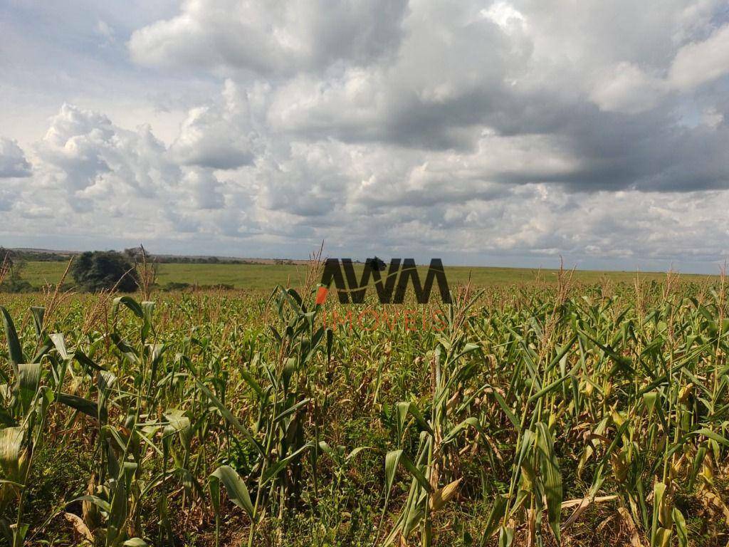 Fazenda-Sítio-Chácara, 16000 hectares - Foto 24