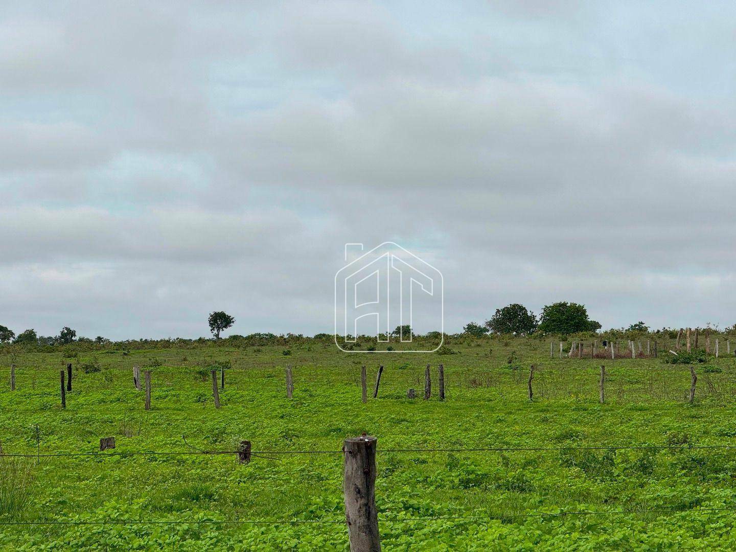 Fazenda à venda com 3 quartos, 26600000M2 - Foto 24