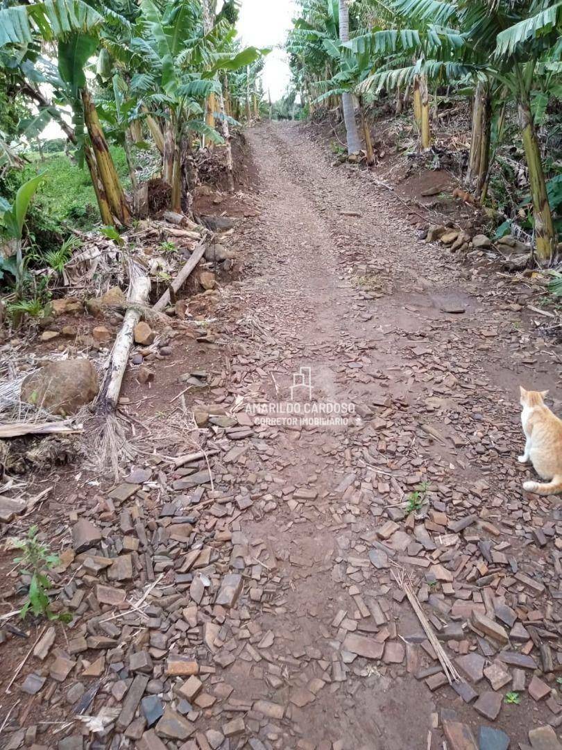 Chácara à venda com 3 quartos, 25000M2 - Foto 26