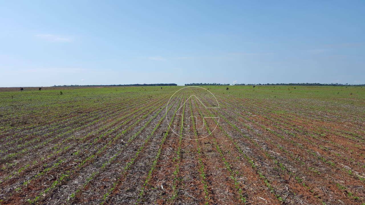 Fazenda à venda, 46000000M2 - Foto 5