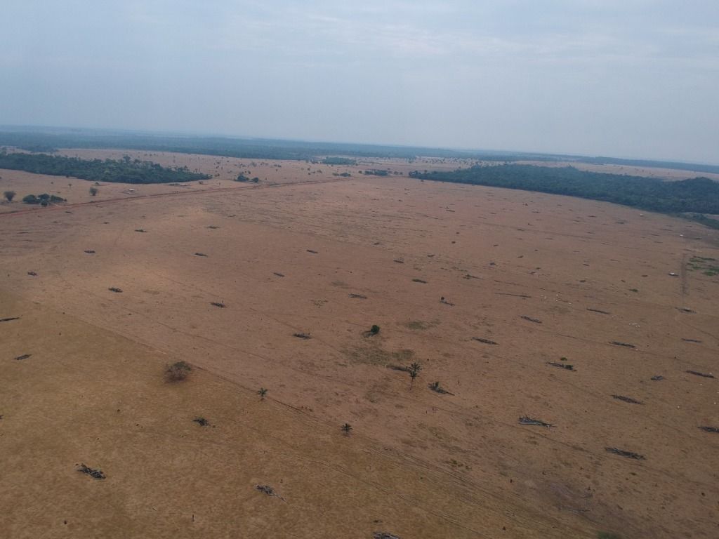 Fazenda à venda, 41140000M2 - Foto 14