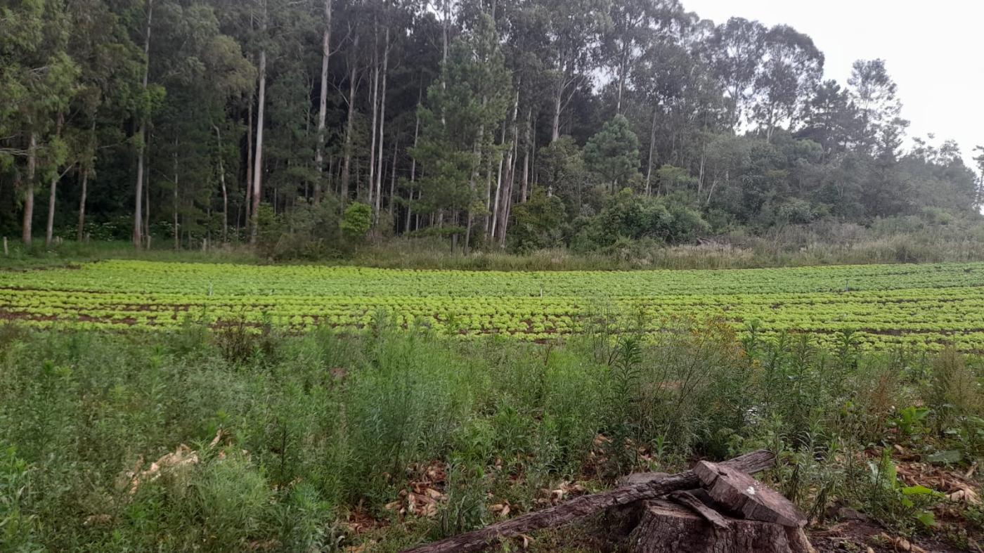 Fazenda à venda, 21m² - Foto 28