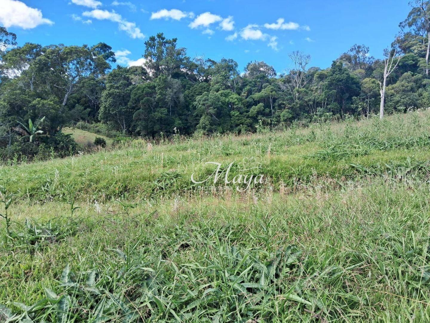 Terreno à venda, 2000M2 - Foto 11