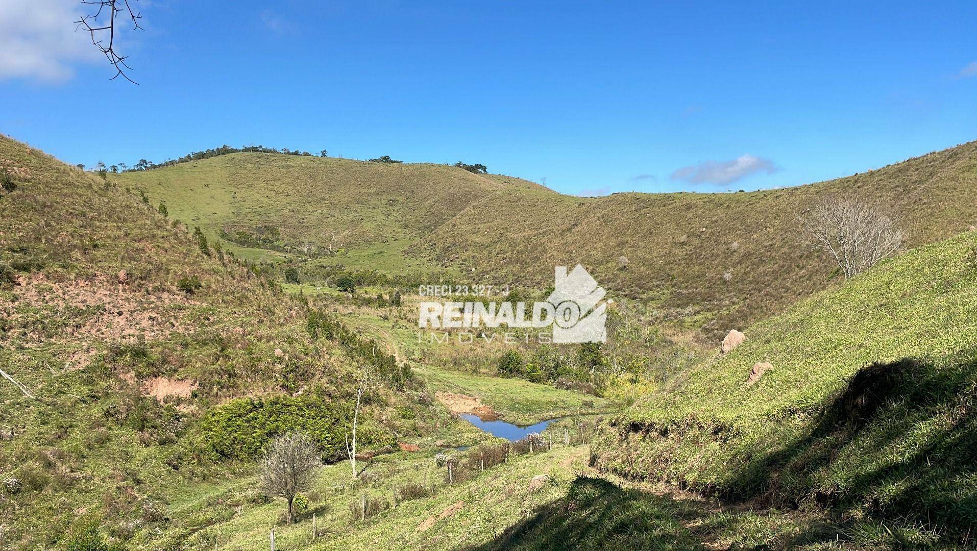 Fazenda à venda com 8 quartos, 900m² - Foto 27