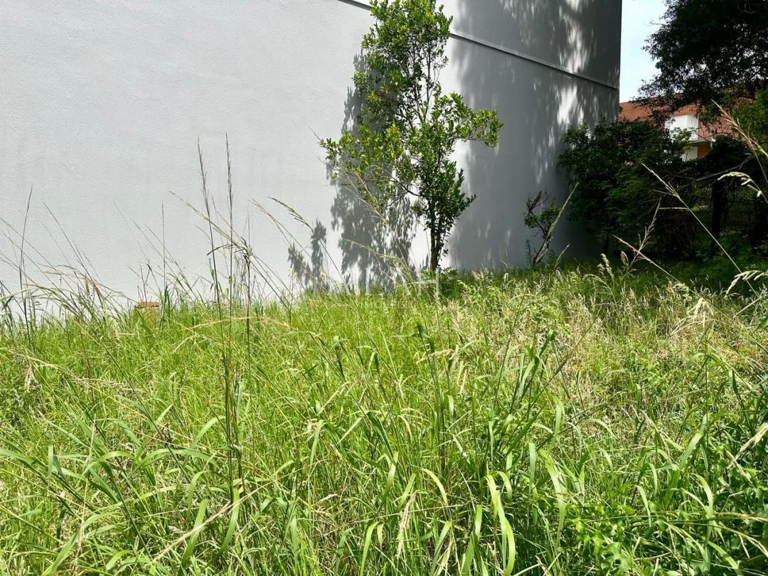 Terreno à venda, 334m² - Foto 2
