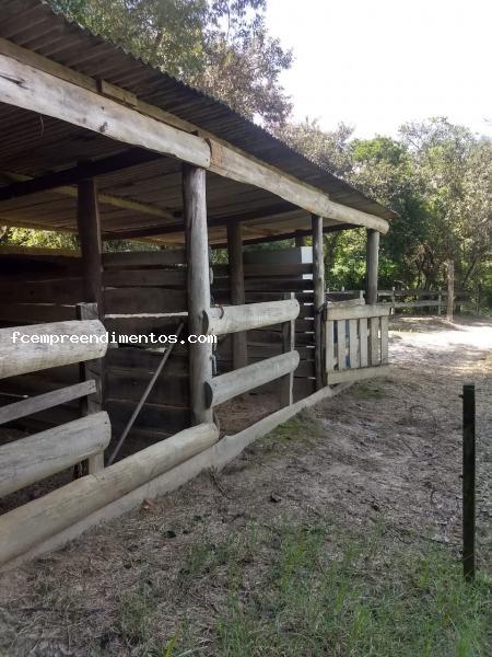 Fazenda à venda com 3 quartos, 10000m² - Foto 4