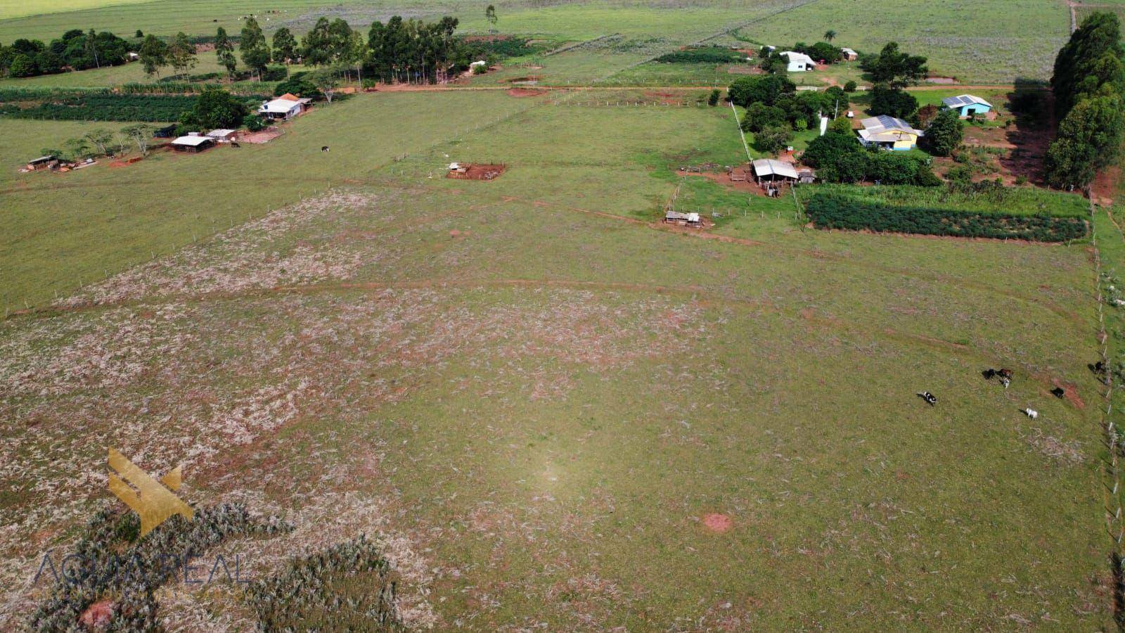 Sítio à venda, 120000M2 - Foto 6