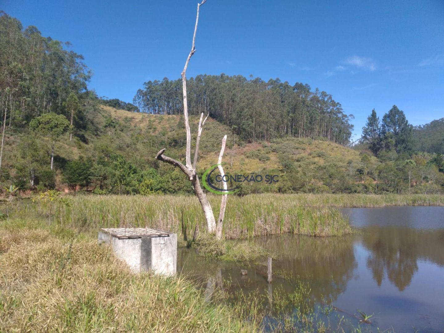 Fazenda à venda com 3 quartos, 1452000M2 - Foto 17
