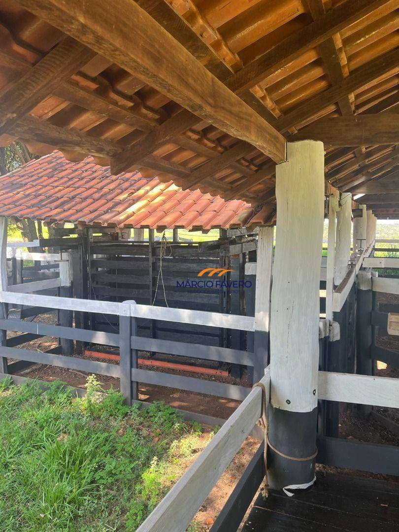 Fazenda, 322 hectares - Foto 20