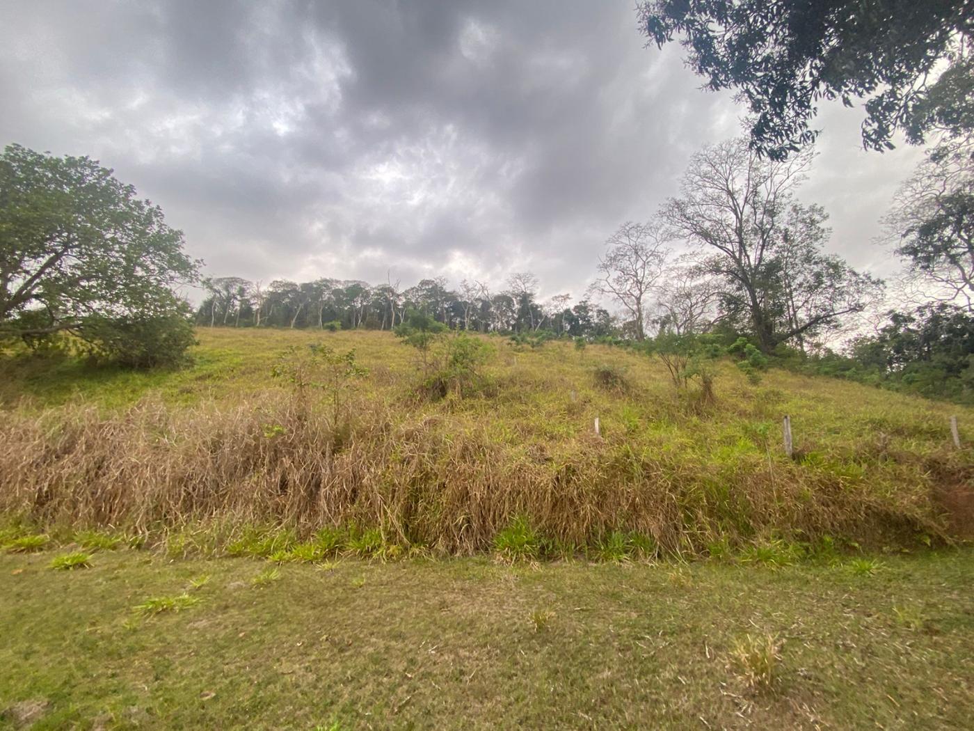 Sítio à venda com 5 quartos, 170000m² - Foto 27