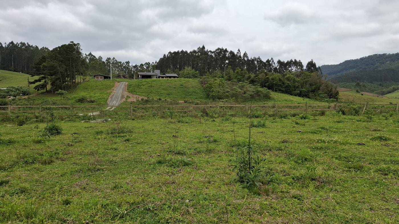 Fazenda à venda com 1 quarto, 10000m² - Foto 23