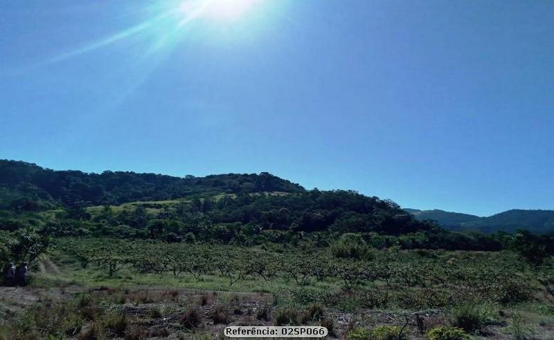 Fazenda à venda com 4 quartos, 120000m² - Foto 24