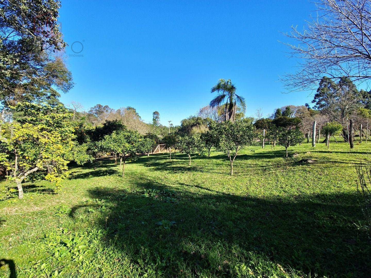 Sítio, 22 hectares - Foto 20