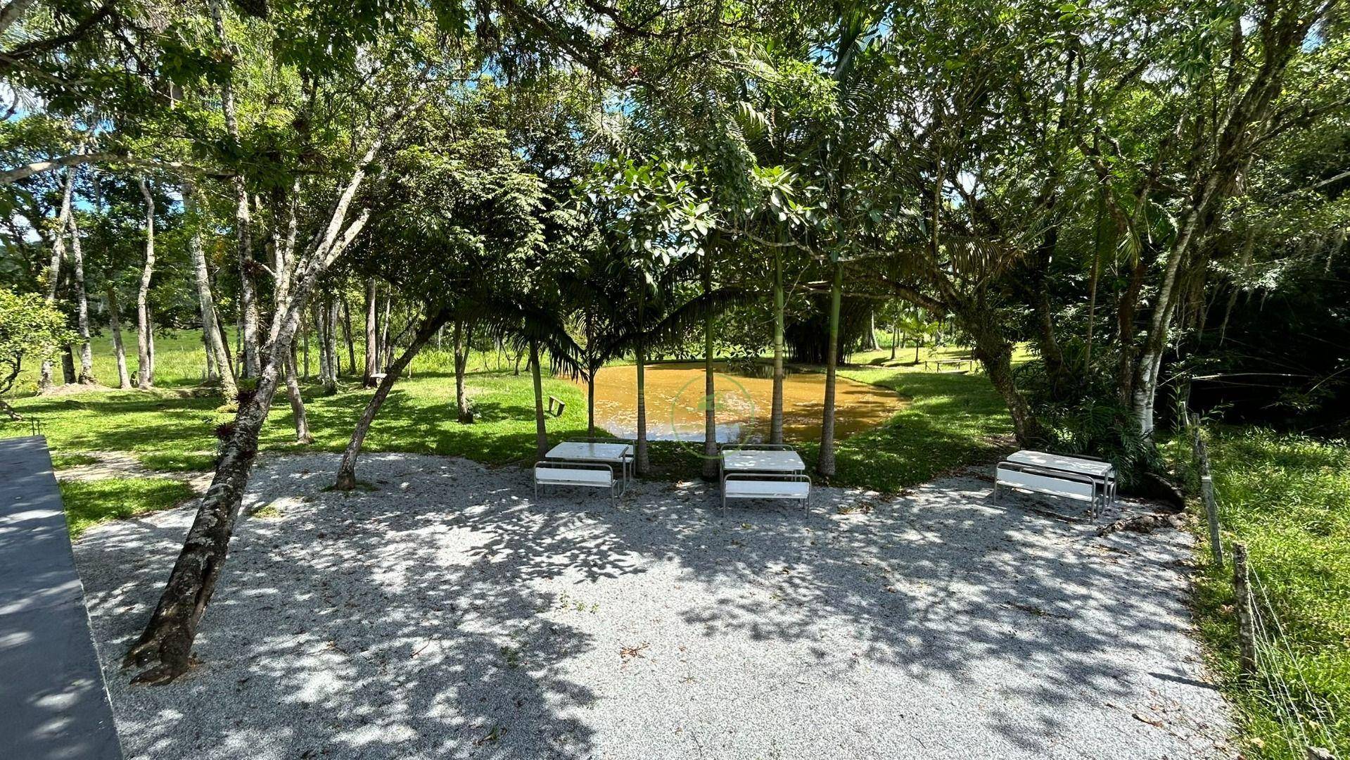 Chácara, 2 hectares - Foto 31