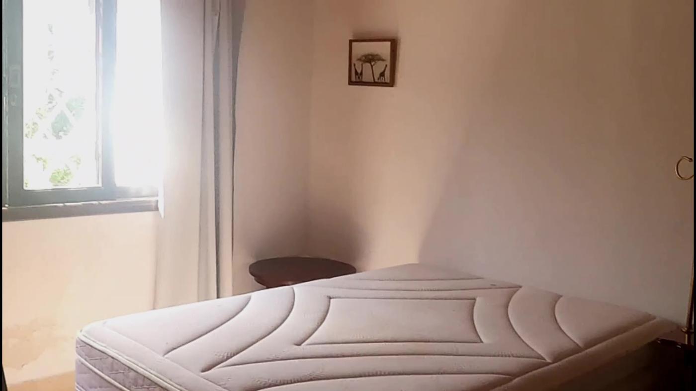 Chácara à venda com 3 quartos, 4500m² - Foto 23