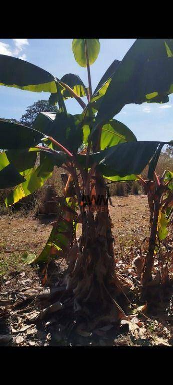 Fazenda à venda, 726000M2 - Foto 9