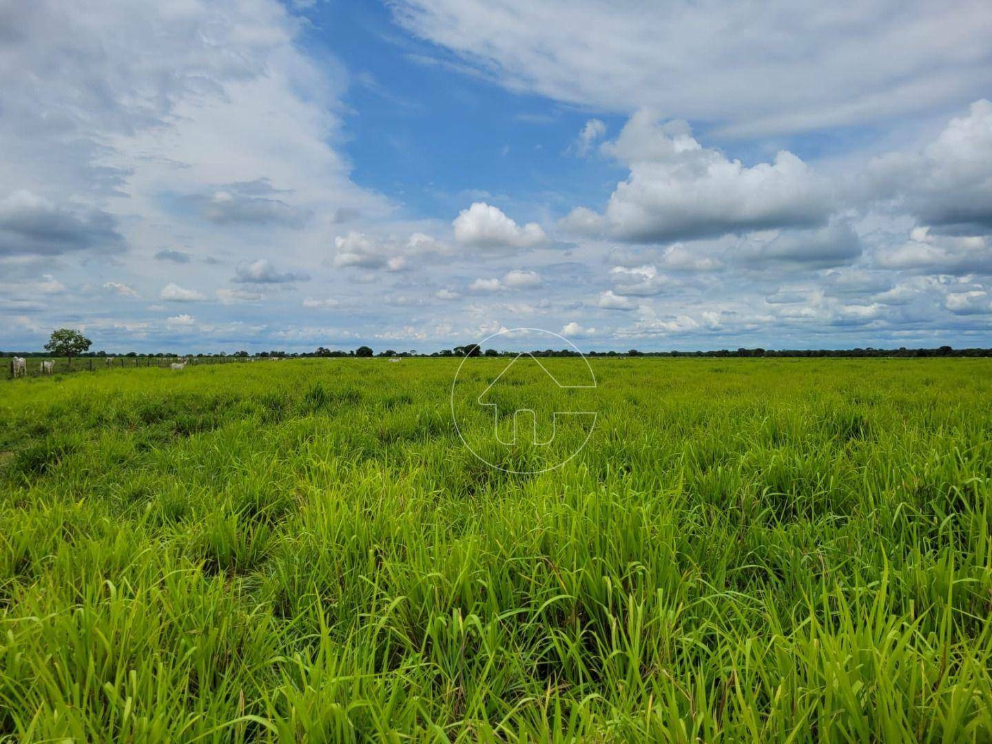 Fazenda à venda, 61350000M2 - Foto 13