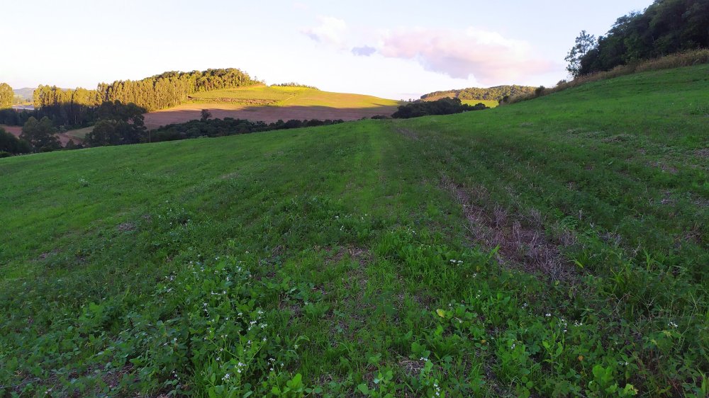 Fazenda à venda, 17m² - Foto 1