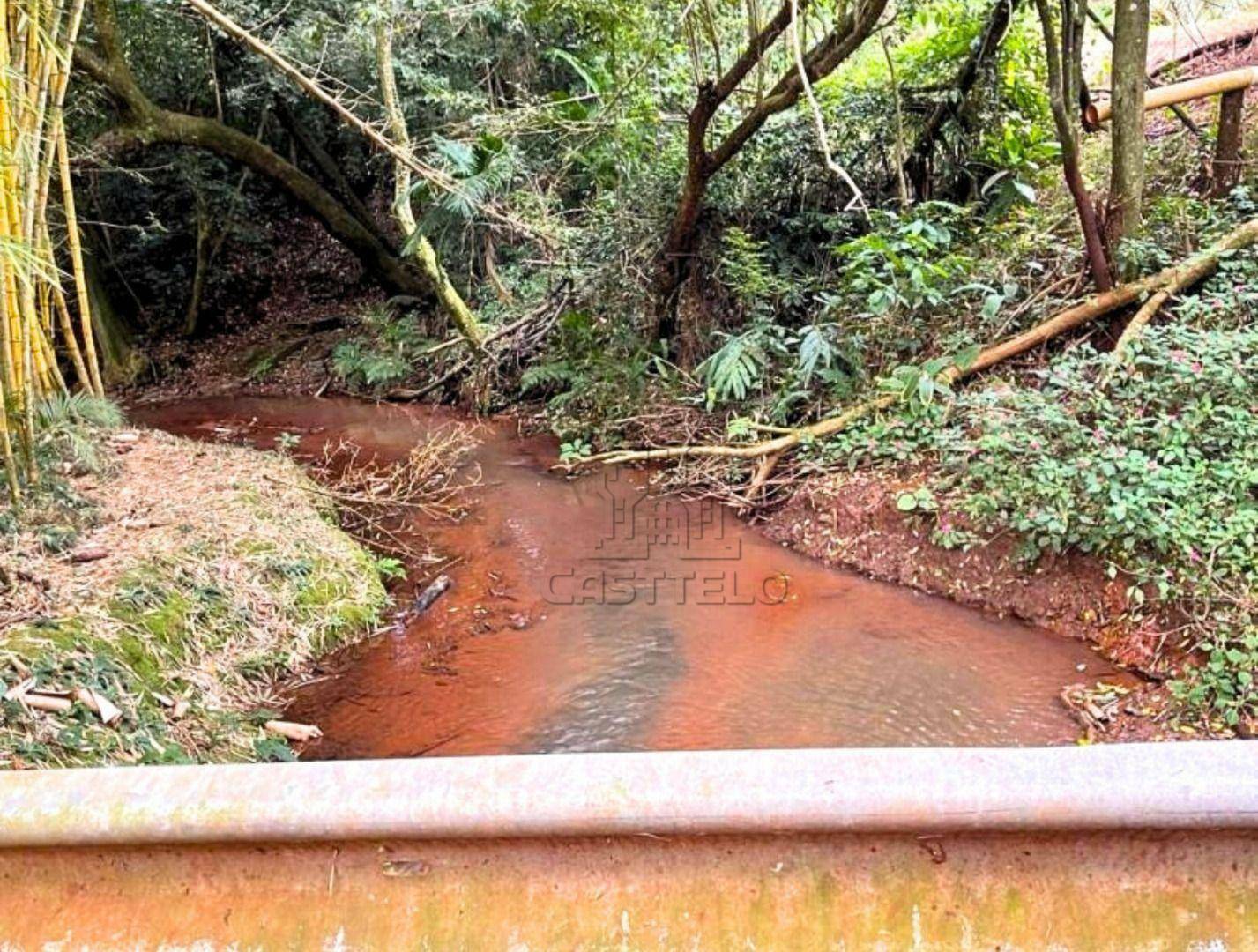 Fazenda-Sítio-Chácara, 5 hectares - Foto 4