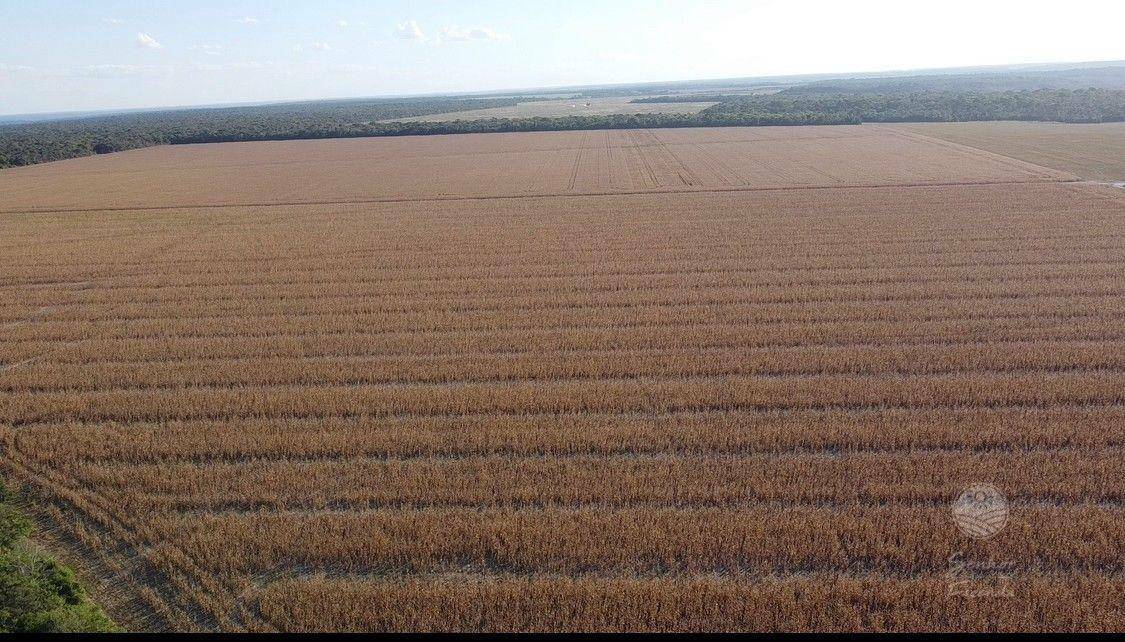 Fazenda à venda, 10510000M2 - Foto 2