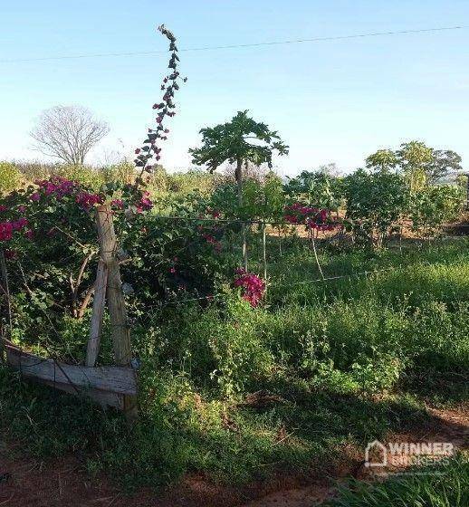 Chácara à venda com 1 quarto, 10000M2 - Foto 7