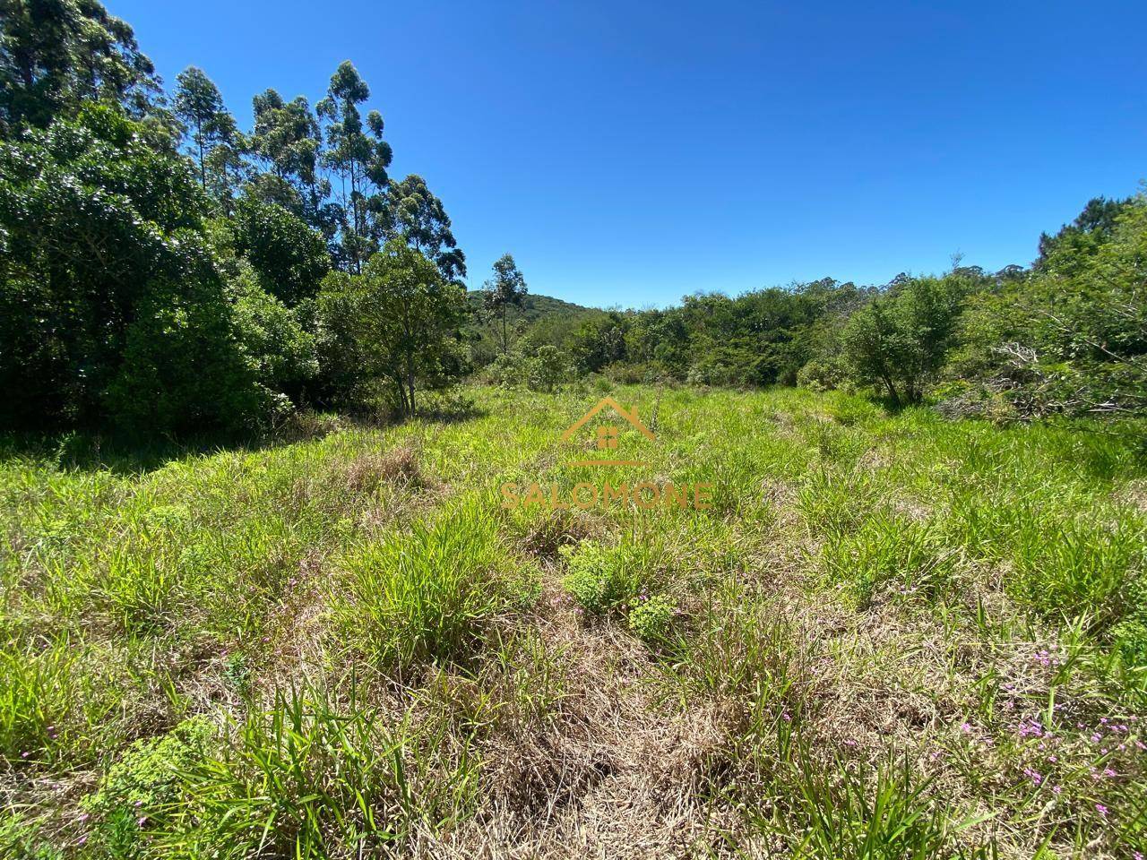 Loteamento e Condomínio, 2640 m² - Foto 9