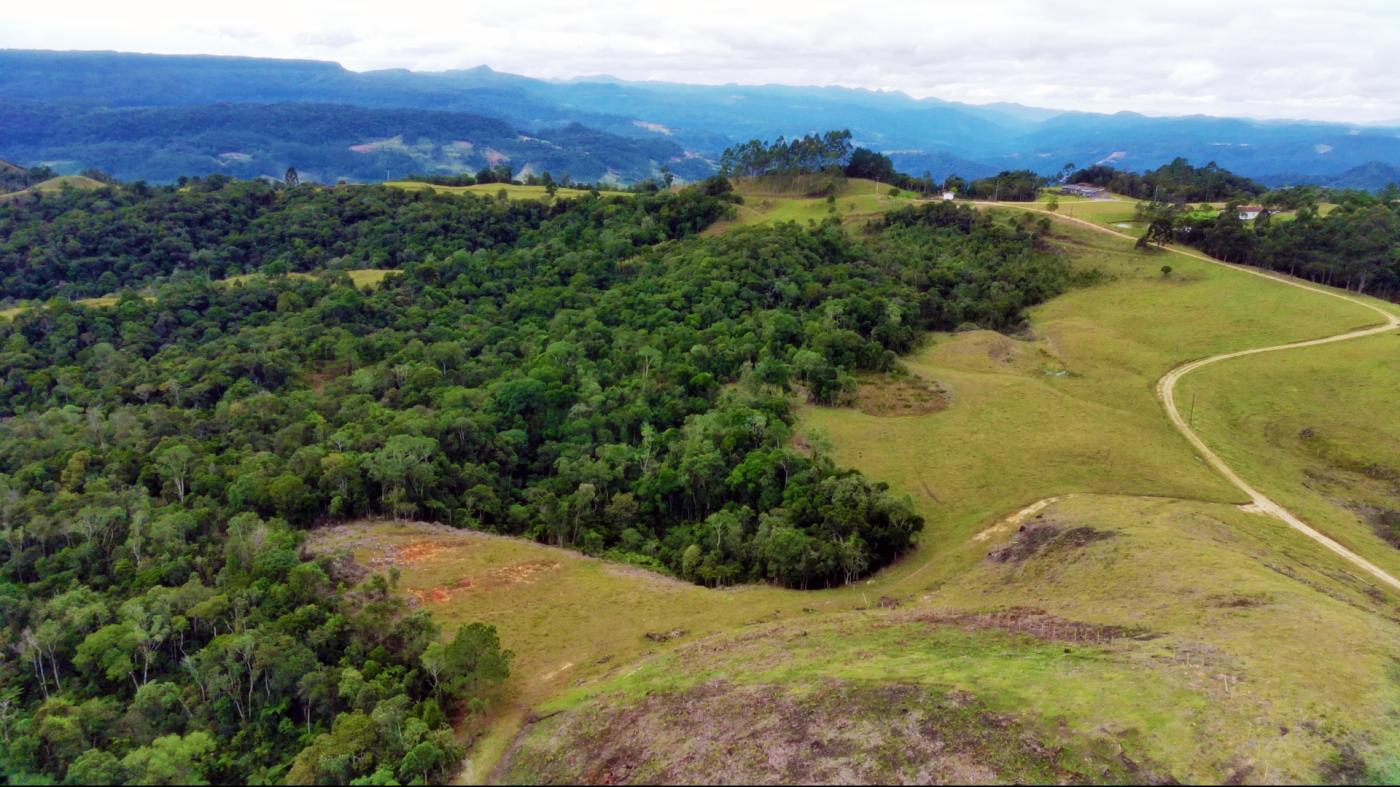 Fazenda à venda com 2 quartos, 862000m² - Foto 7