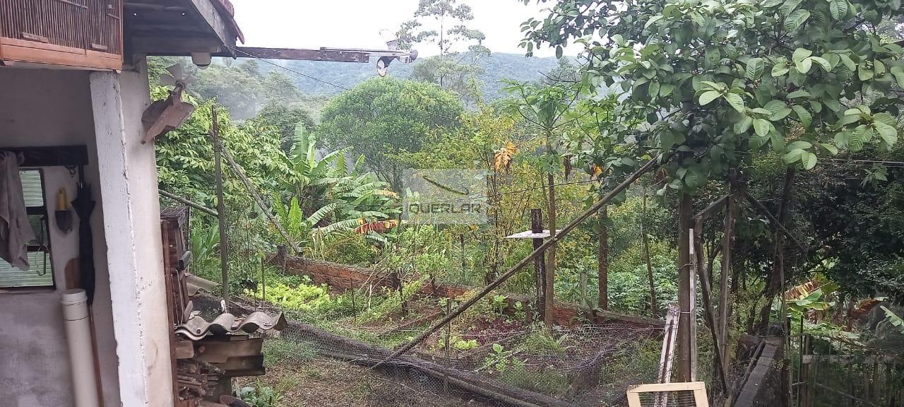 Fazenda à venda com 3 quartos, 100m² - Foto 6