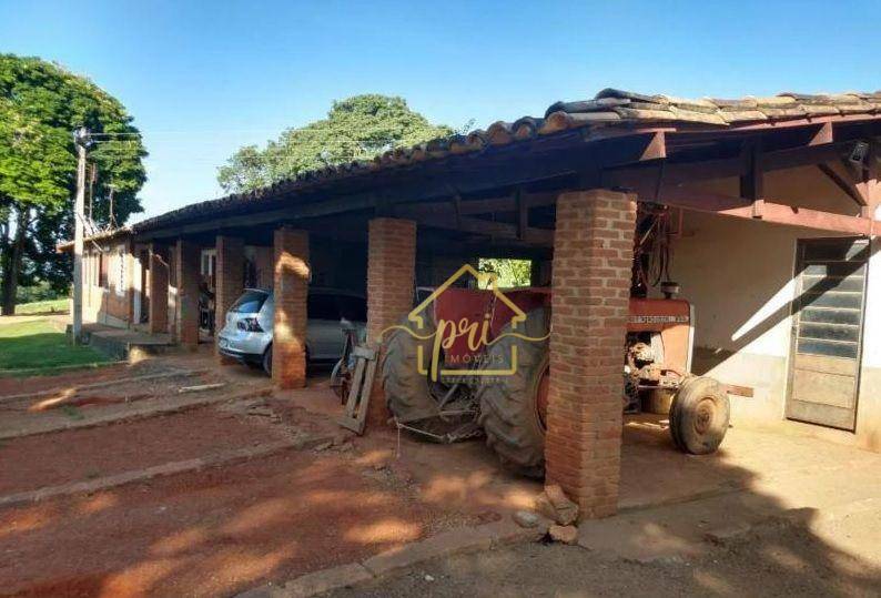 Fazenda à venda com 3 quartos, 1000m² - Foto 19